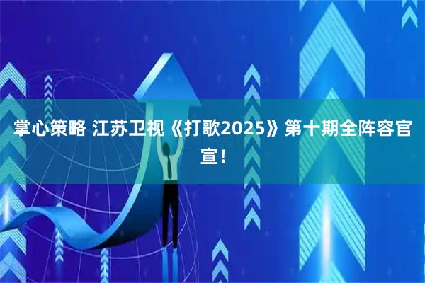 掌心策略 江苏卫视《打歌2025》第十期全阵容官宣！