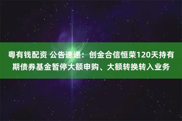 粤有钱配资 公告速递:创金合信恒荣120天持有期债券基金暂停大额申购、大额转换转入业务